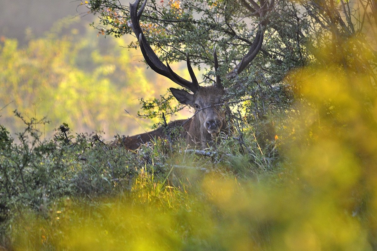 Sogno  (fotoracconto)